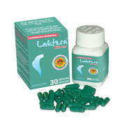 Laktera Fibres